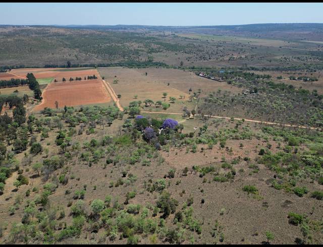 FARM FOR SALE IN DE WAGENSDRIFT AH